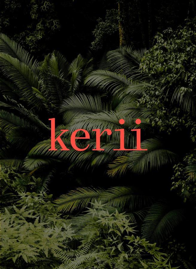 Kerii - Adults Boutique Hotel ซาลบาคฮินเทอร์เกลมม์ ภายนอก รูปภาพ